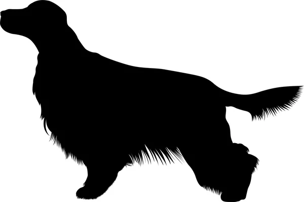 爱尔兰塞特犬动物 — 图库矢量图片