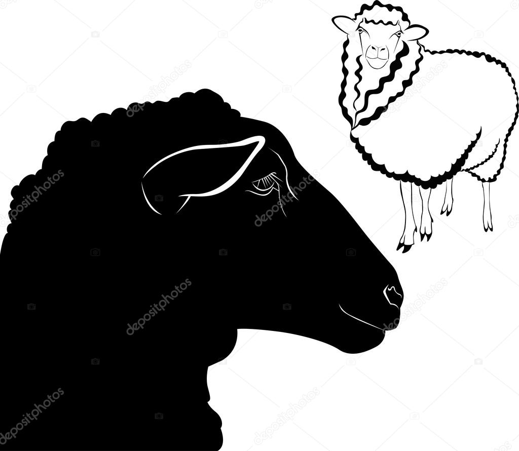Sheep  animals logo  background