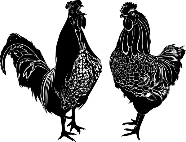 Roosters farm birds — Stock Vector