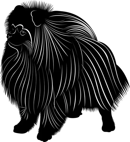 Silueta de perro spitz — Vector de stock