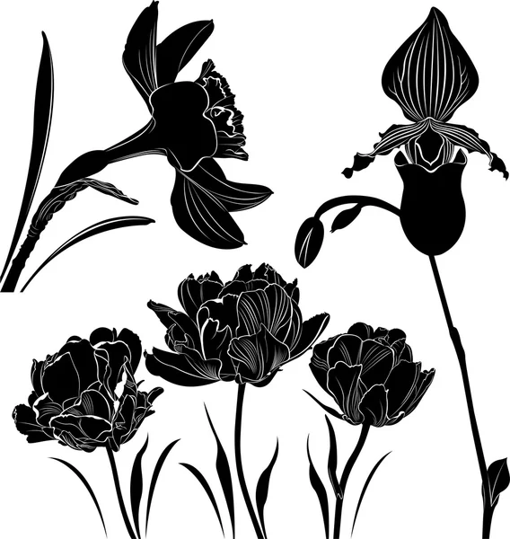 Collezione fiori silhouette nera — Vettoriale Stock