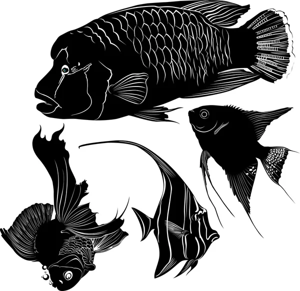 Silhouette noire de poissons d'aquarium marin — Image vectorielle