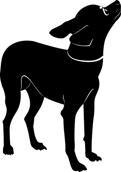 Illustrazione animale cane — Vettoriale Stock