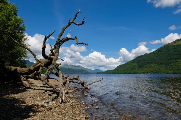 Ben Arthur View Highlands Scotland — стоковое фото