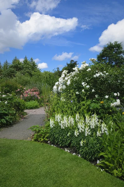 English cottage garden in Devon — Stock Photo, Image