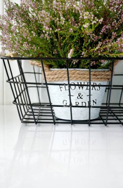 Çiçek saksısı beyaz masada