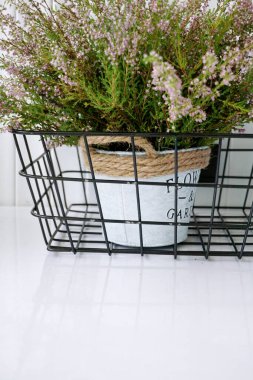 Beyaz bir arka planda bir tencerede sepetli renkler