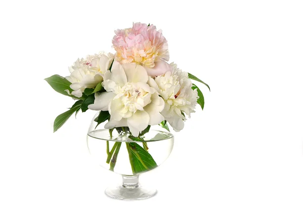 bouquet of peonies in a vase