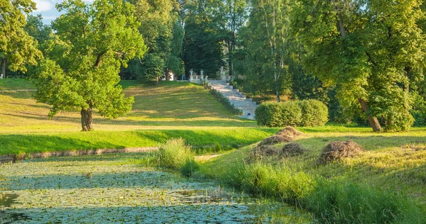 Pavlovsk Park — Stock fotografie