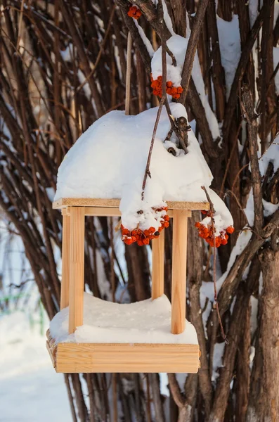 Bird feeders — Stock Photo, Image