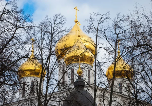 Golden Domes — Stock Photo, Image