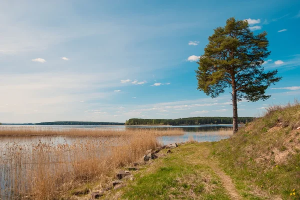 На озері Селігер — стокове фото