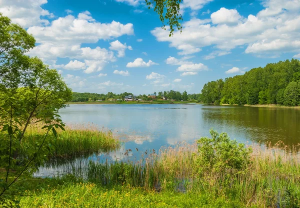 Sommarlandskap — Stockfoto