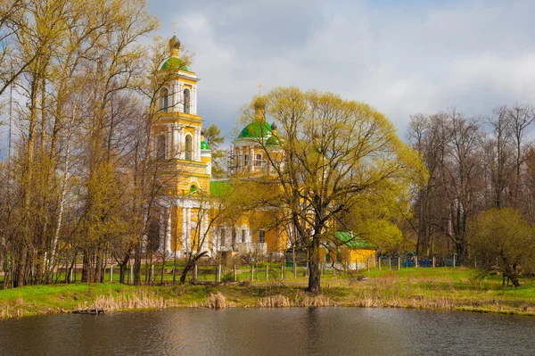 Весняний пейзаж — стокове фото