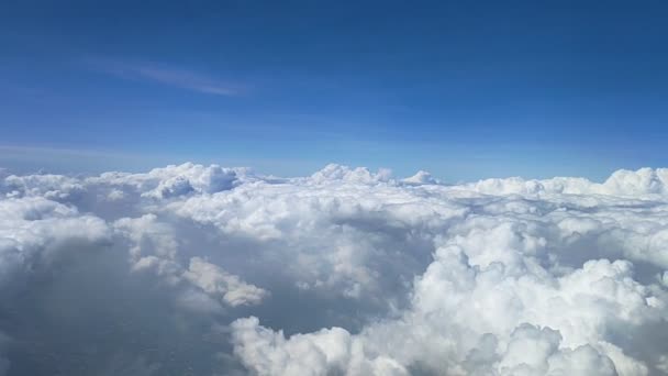 공중푸른 햇빛을 받으며 비행하는 비행기의 전망을 수있다 하늘에서 일몰을 배경으로 — 비디오