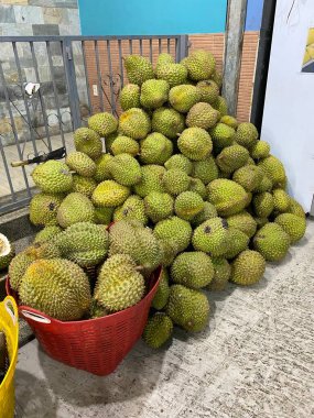 Pile of fresh durians and opened peels showing yellow creamy flesh tropical exotic fruit rich aroma popular in Southeast Asia natural market display authentic tropical produce scene