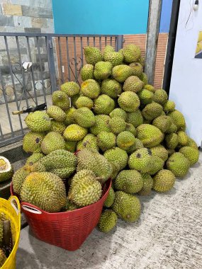 Pile of fresh durians and opened peels showing yellow creamy flesh tropical exotic fruit rich aroma popular in Southeast Asia natural market display authentic tropical produce scene