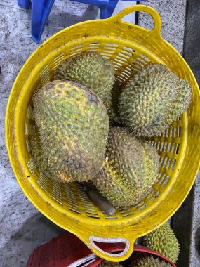 Pile of fresh durians and opened peels showing yellow creamy flesh tropical exotic fruit rich aroma popular in Southeast Asia natural market display authentic tropical produce scene