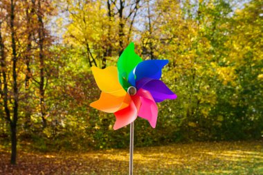 Güneşli bir sonbahar gününde yel değirmeni