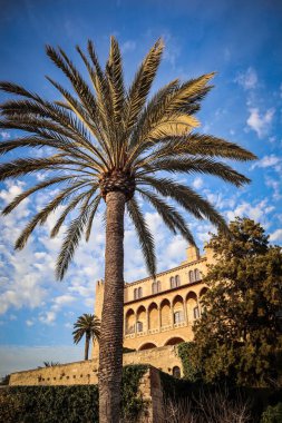 Palma de Mallorca - 2020
