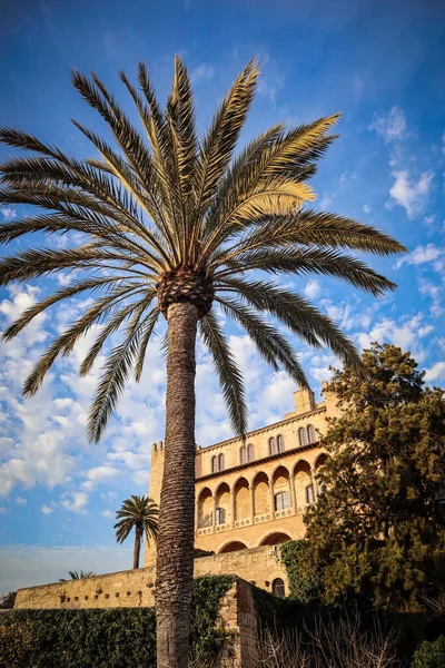 Palma de Mallorca - 2020