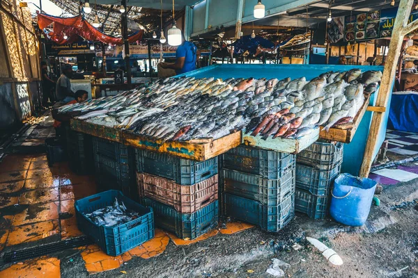 Mercado Pescado Hurghada Hurghada Egipto 2020 — Foto de Stock