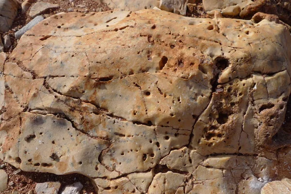 Roca Con Agujeros Textura —  Fotos de Stock