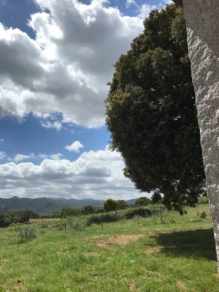 Paisagem Gallura Sardenha Italia — Fotografia de Stock