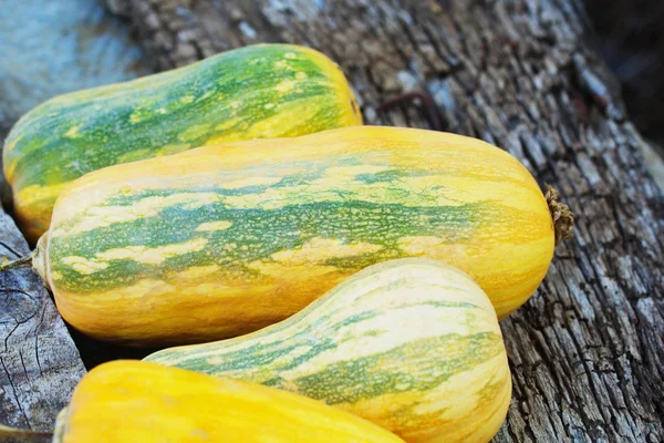 Zucche su un tavolo — Foto Stock