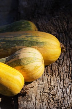 bir tablo üzerinde kabaklar