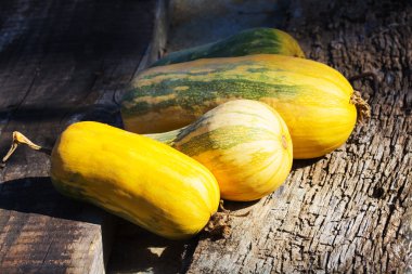 bir tablo üzerinde kabaklar