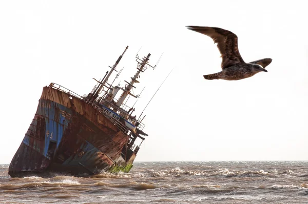 Abandoned broken ship-wreck beached on rocky ocean — Stock Photo, Image