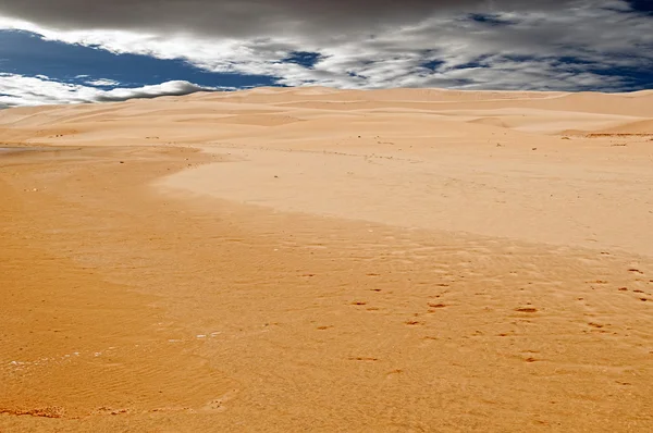 Dune e spiaggia — Foto Stock