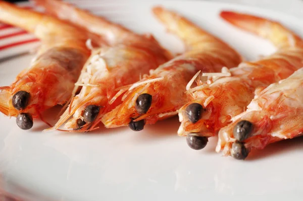 Camarones tigre aislados —  Fotos de Stock