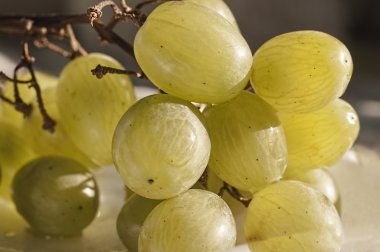 Güneşli olgun üzüm