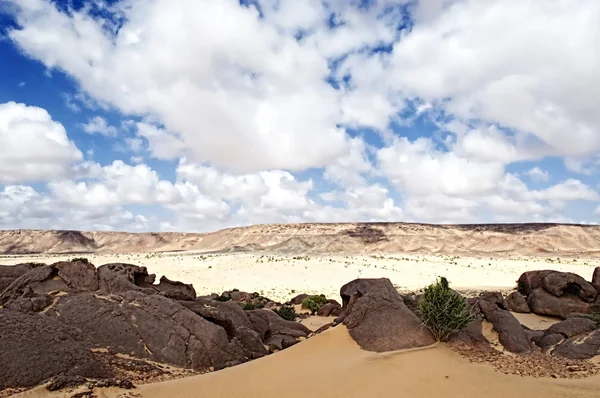 Paisagem do deserto — Fotografia de Stock