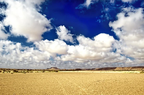 Sahara krajina — Stock fotografie