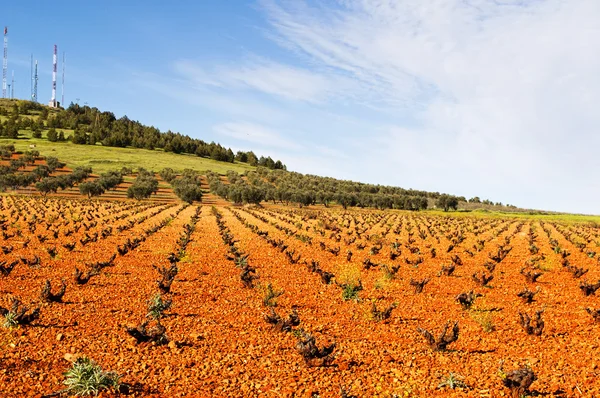 Kırsal — Stok fotoğraf