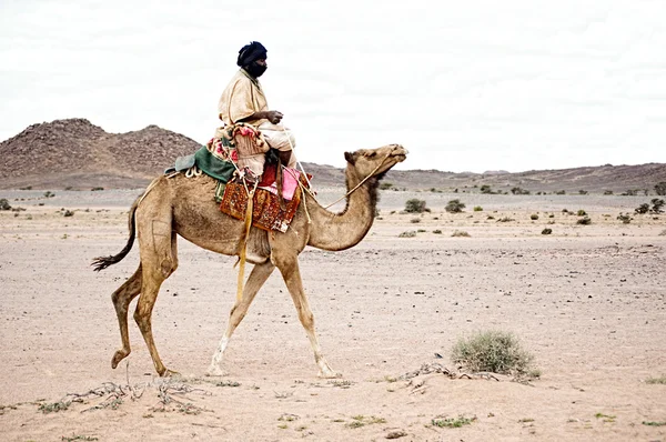 Mann reitet Kamel — Stockfoto