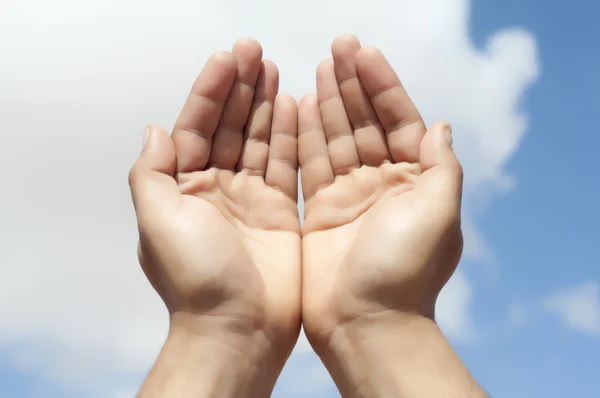 Hands cupped — Stock Photo, Image