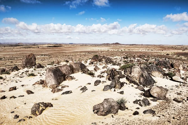 Krajobraz pustynny — Zdjęcie stockowe