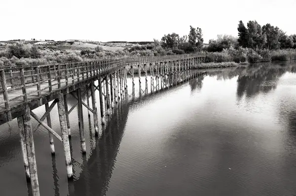 Γέφυρα — Φωτογραφία Αρχείου