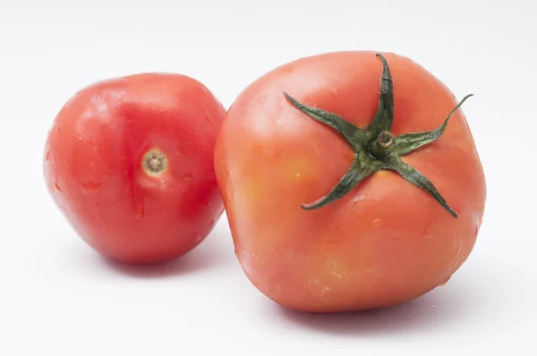 Tomaten — Stockfoto