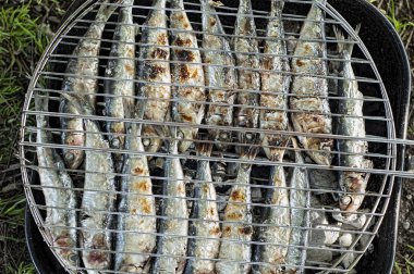 sardalya barbacue üzerinde