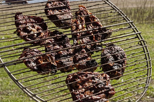 Fleisch auf dem Grill — Stockfoto