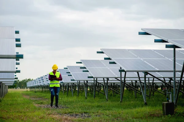A young female solar cell engineer is working hard. Working in alternative energy Solar energy