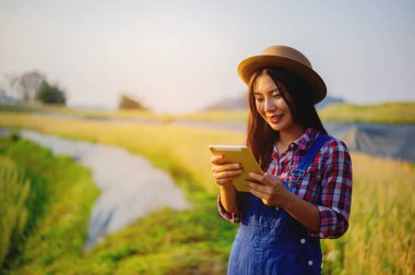 Başarı Hedefleri ve Güçlü İş Bağlama Hedefleri Güvence Yolunda