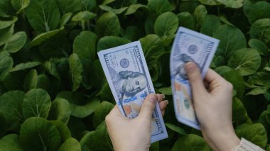 Sıkı çalışma ve tasarruf, iyi mali planlama, finansal büyüme hedefleri ve mali başarı dolarlarını saymak.