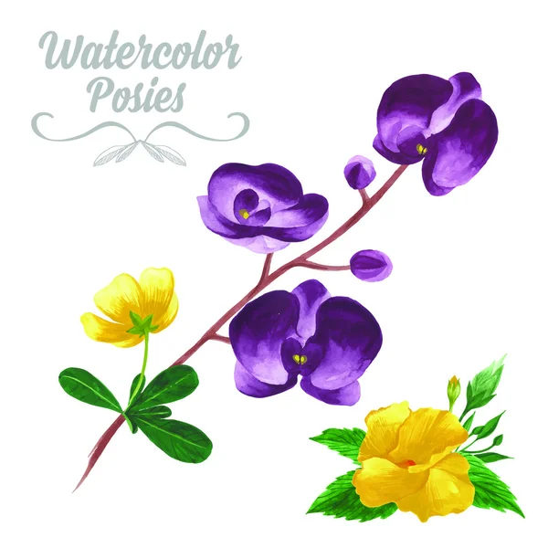 Aquarel tropische bloemen en bladeren. — Stockvector