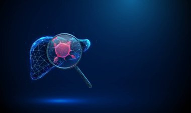 Büyüteç altında 3 boyutlu karaciğer ve içinde kırmızı tümör var. Hepatik kanser teşhisi, tıbbi analiz, hastalık tespiti, patoloji, biyomedikal araştırma konsepti. Düşük poli dijital fütürist Vektör.